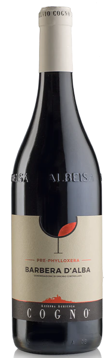 ELVIO COGNO PRE-PHYLLOXERA BARBERA D'ALBA