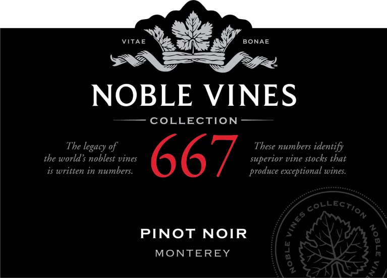 Noble Vines 667 Pinot Noir - Image 2