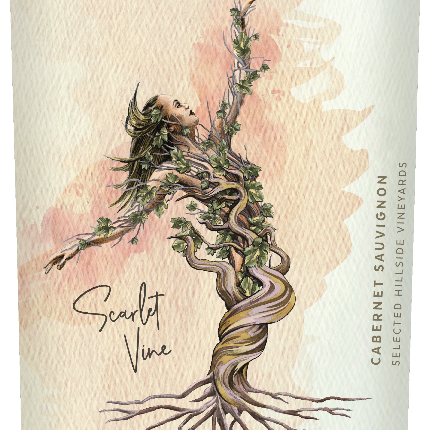 Scarlet Vine Chile Cabernet Sauvignon - Image 2