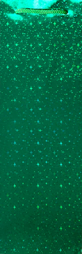 Sparkling Green Wine Bag by Cakewalk - Image 2