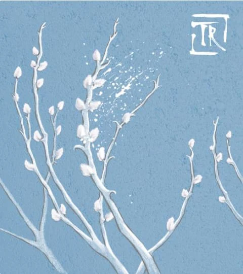 Turtle Rock Willow White, 2018 - Image 2
